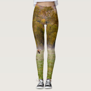 Leggings Pareja de almidonazos