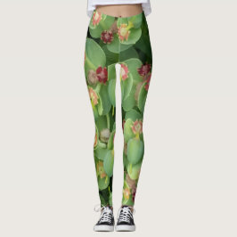 Leggings Pequeña Flora Verde