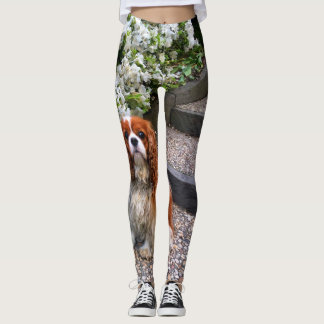 Leggings Pétalos arrogantes de rey Charles White de