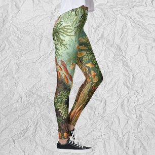 Leggings Plantas del musgo del vintage de Ernst Haeckel,