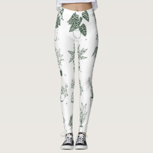 Leggings Plantas interiores: conjunto pintado a mano.