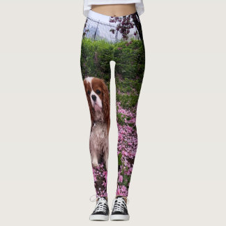 Leggings Polainas arrogantes del perro de aguas de rey