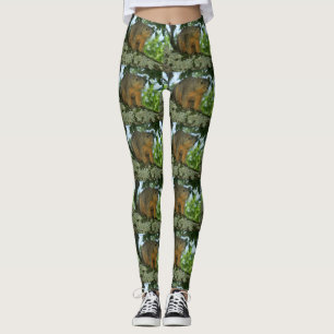 Leggings Polainas de la ardilla
