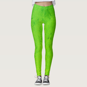 Leggings Polainas de la iguana