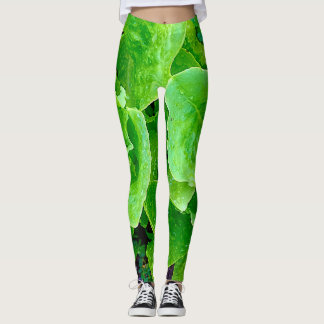 Leggings Polainas de la lechuga