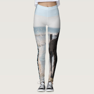 Leggings Polainas de la regla de los caniches