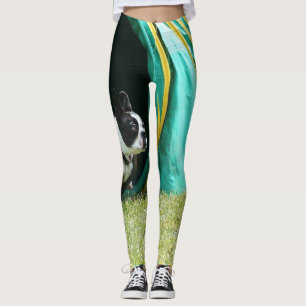 Leggings Polainas del arte del perro de Boston Terrier de