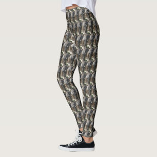 Leggings Polainas del ELEFANTE