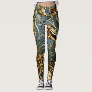 Leggings Ranas de Batrachia por Ernst Haeckel