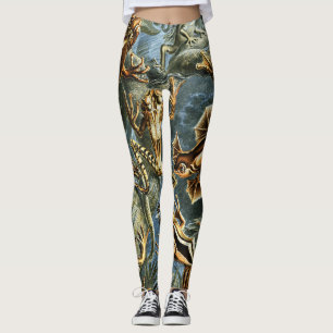 Leggings Ranas de Batrachia por Ernst Haeckel