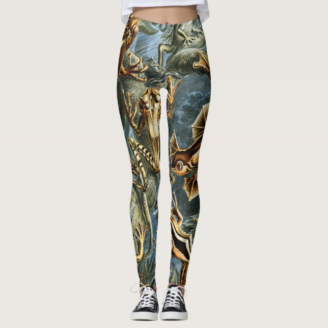 Leggings Ranas de Batrachia por Ernst Haeckel (Anverso)
