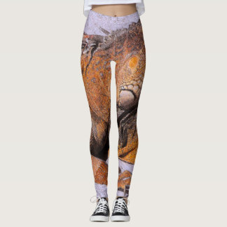 Leggings Retrato de la Iguana