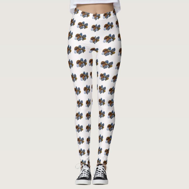 Leggings Rocas pulidas (Anverso)
