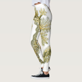 Leggings Saltos marinos por Ernst Haeckel, Nudibranchia vin