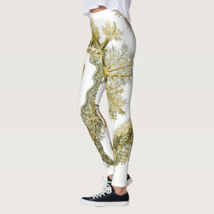 Leggings Saltos marinos por Ernst Haeckel, Nudibranchia vin