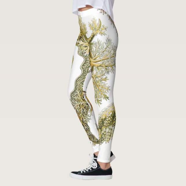 Leggings Saltos marinos por Ernst Haeckel, Nudibranchia vin (Izquierda)