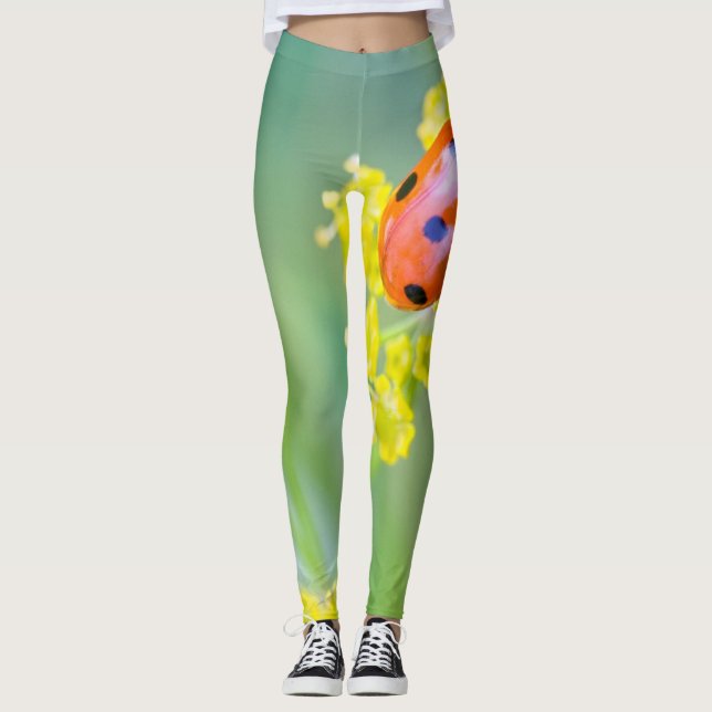 Leggings señora de arriba (Anverso)