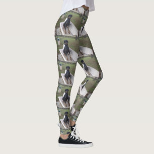 Leggings sesión de doberman pincher
