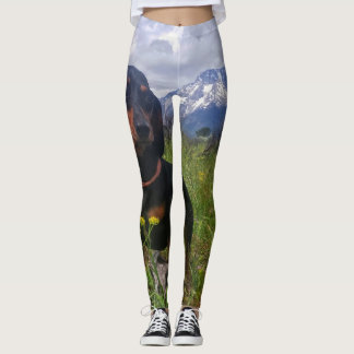 Leggings Tetons magnífico
