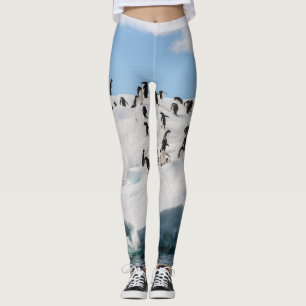 Leggings Tiempo de reproducción de Gentoo Penguin Antártica