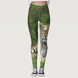 Leggings Tigre