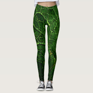 Leggings Tortugas todo el camino hacia abajo - Piernas