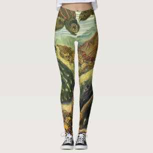 Leggings Tortugas y tortugas de mar del vintage de Ernst