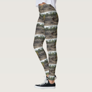 Leggings Un momento tranquilo: el canguro australiano en Bi