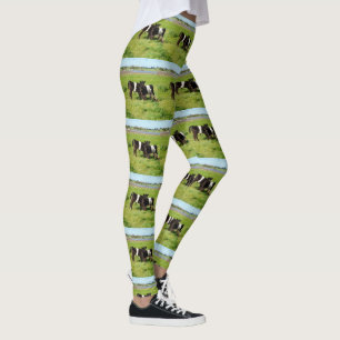 Leggings Vacas Galloway Con Cintura De Bebé En Un Paddock,