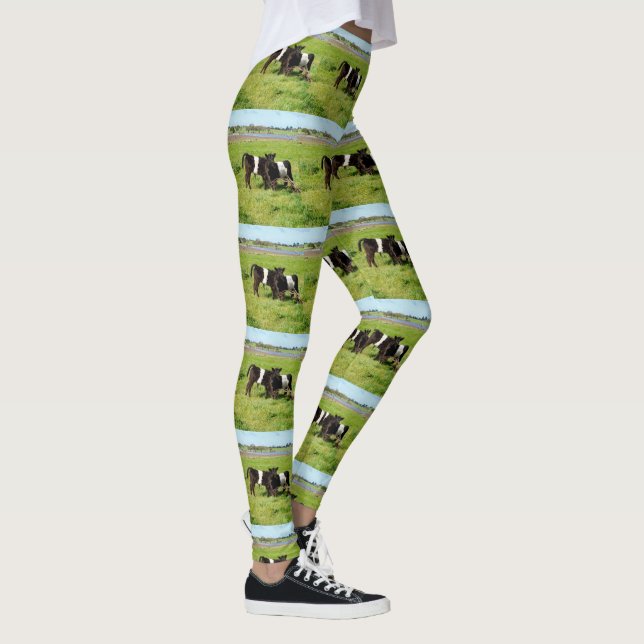 Leggings Vacas Galloway Con Cintura De Bebé En Un Paddock, (Derecha)