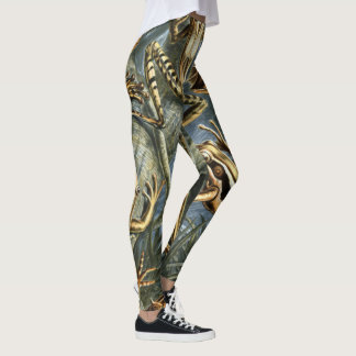Leggings Variedad de Ernst Haeckel de ranas exóticas: