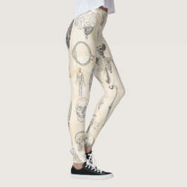 Leggings Vintage Human Anatomy Trendy