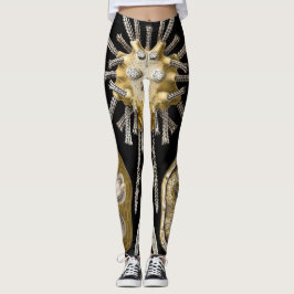 Leggings Vintage Sea Urchins Sand Dollars por Ernst Haeckel