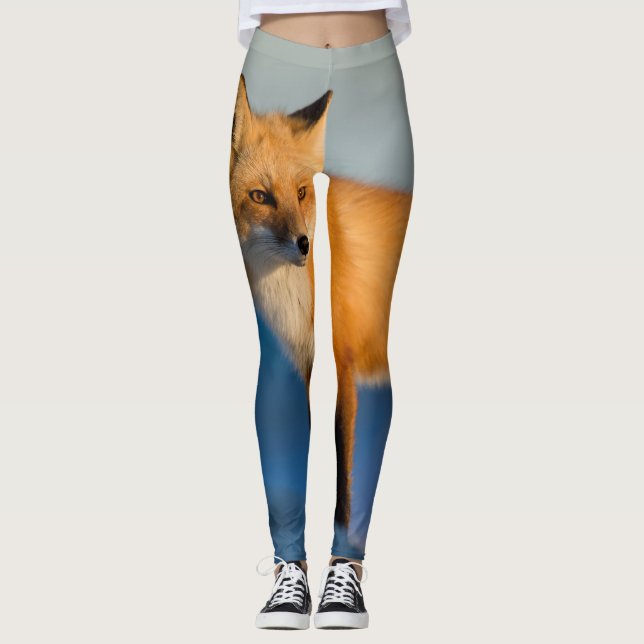 Leggings Zorro marrón (Anverso)