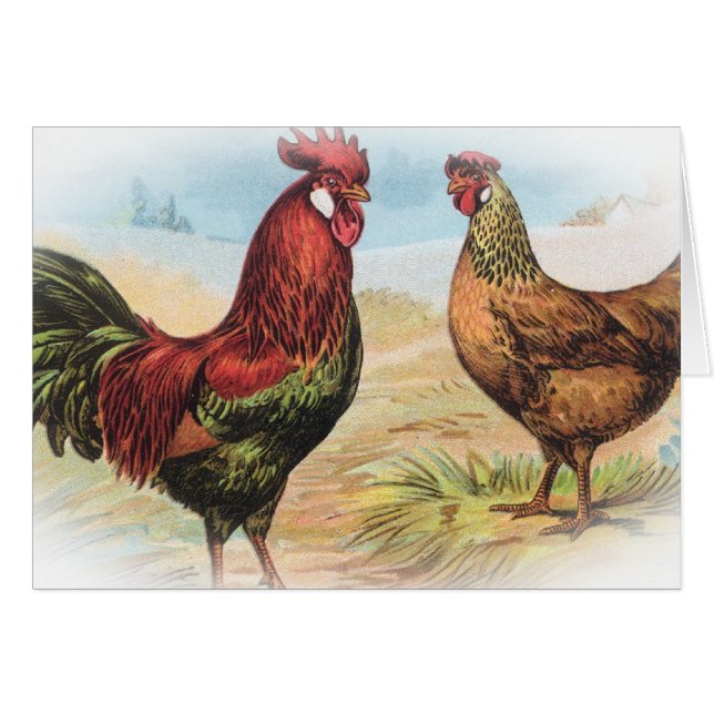 Leghorn (Anverso (Horizontal))