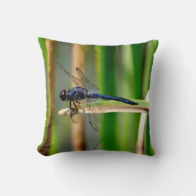 Lélula azul oscura, almohada verde (Anverso)