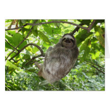 Lema relajado en la naturaleza