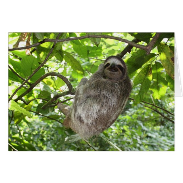 Lema relajado en la naturaleza (Anverso (Horizontal))