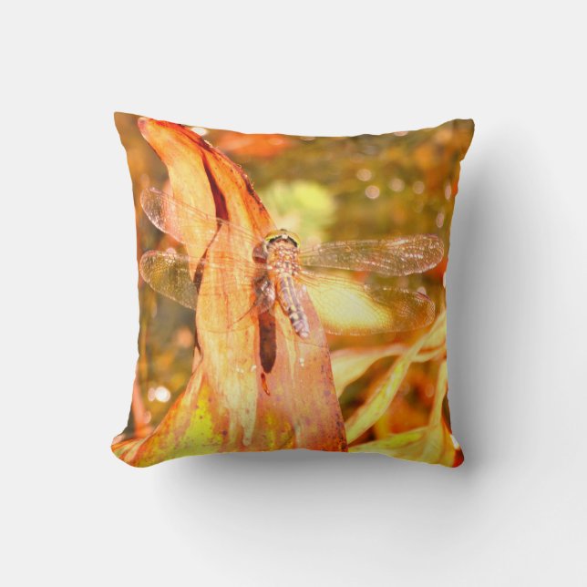 Lémina de almohada amarillo marrón naranja, ojos v (Anverso)