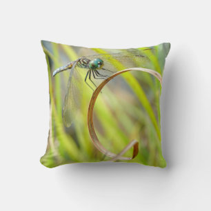 Lémina de almohada gris y amarilla, ojos verdes