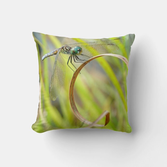 Lémina de almohada gris y amarilla, ojos verdes (Anverso)