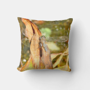 Lémina de dragón de almohadas moradas, ojos verdes