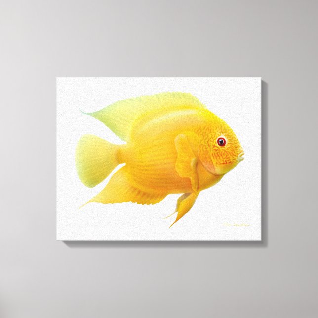 Lemon Gold Severum Cichlid Pescado Lienzo envuelto (Anverso)