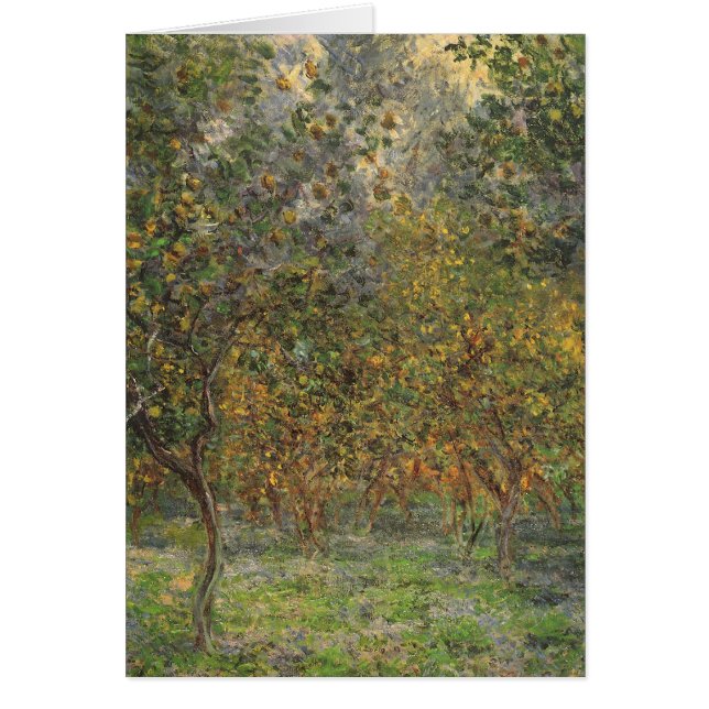 Lemon Grove en Bordighera por Claude Monet (Frente)