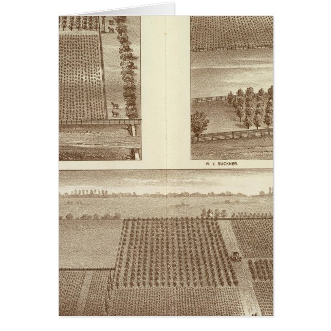 Lemoore ranchos (Frente)