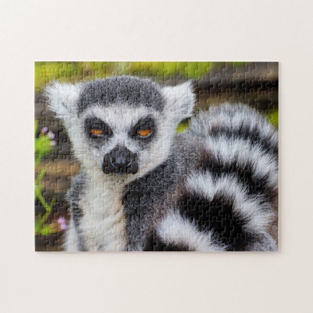 Lemur con cola de anillo, rompecabezas (Horizontal)