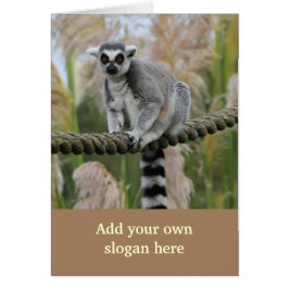 Lemur en la foto de la cuerda para modificarse