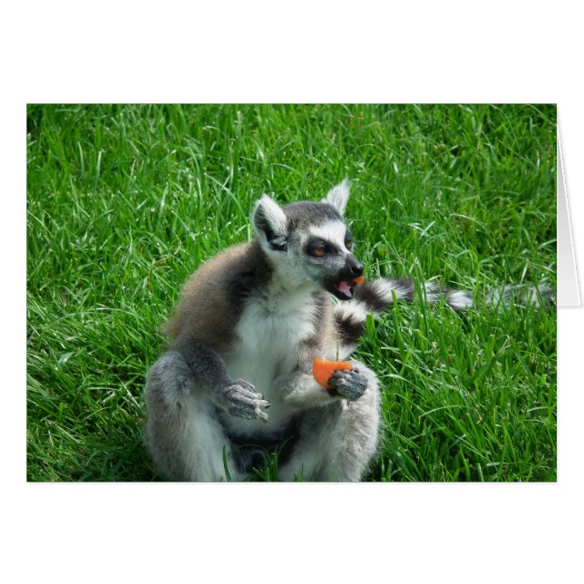 Lemur Lunch (Anverso (Horizontal))