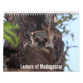Lemurs del calendario de Madagascar