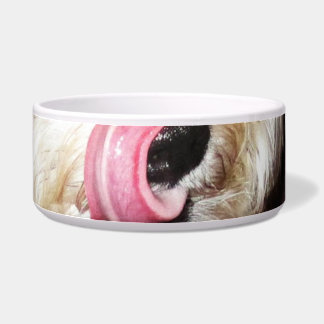 ¡Lengua máxima del cuenco del perrito!